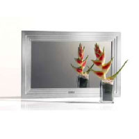 Philips 32  Mirror TV (BDL3221M)